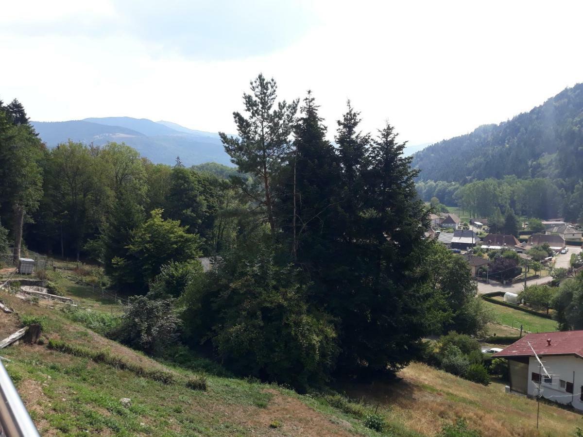 La Maison Des Savoyards Husseren-Wesserling Buitenkant foto